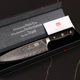 SHAN ZU 8.00" Blade Damascus Chef Knife | Recommended Kitchen Knives For Mother's Cooking | 67 Layers Damascus Steel + G10 Handle