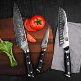 SHAN ZU PRO 3-PCS Damascus Knife Set